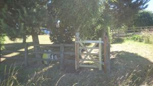 Gate installed to ranch style fence allowing access to fields