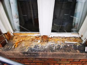 Removing the failing lower sections of a rotting sash