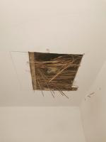 Cutting into wattle and daub ceiling to install loft hatch / inspection hatch