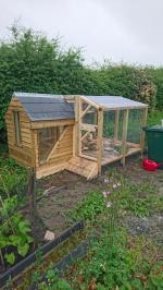 Chicken coop and feeding platform